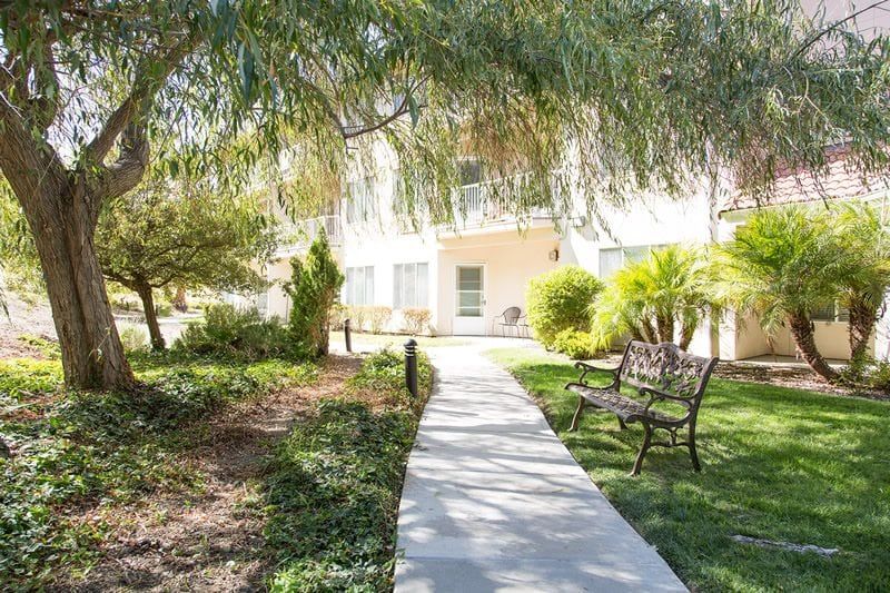 A sunny pathway leading to a building, surrounded by lush greenery and a garden bench.