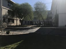 A sunny courtyard surrounded by buildings and trees.