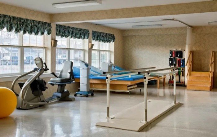 Lorien Health Systems Mt Airy