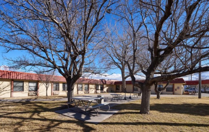 A school courtyard with benches and leafless trees under a clear blue sky.