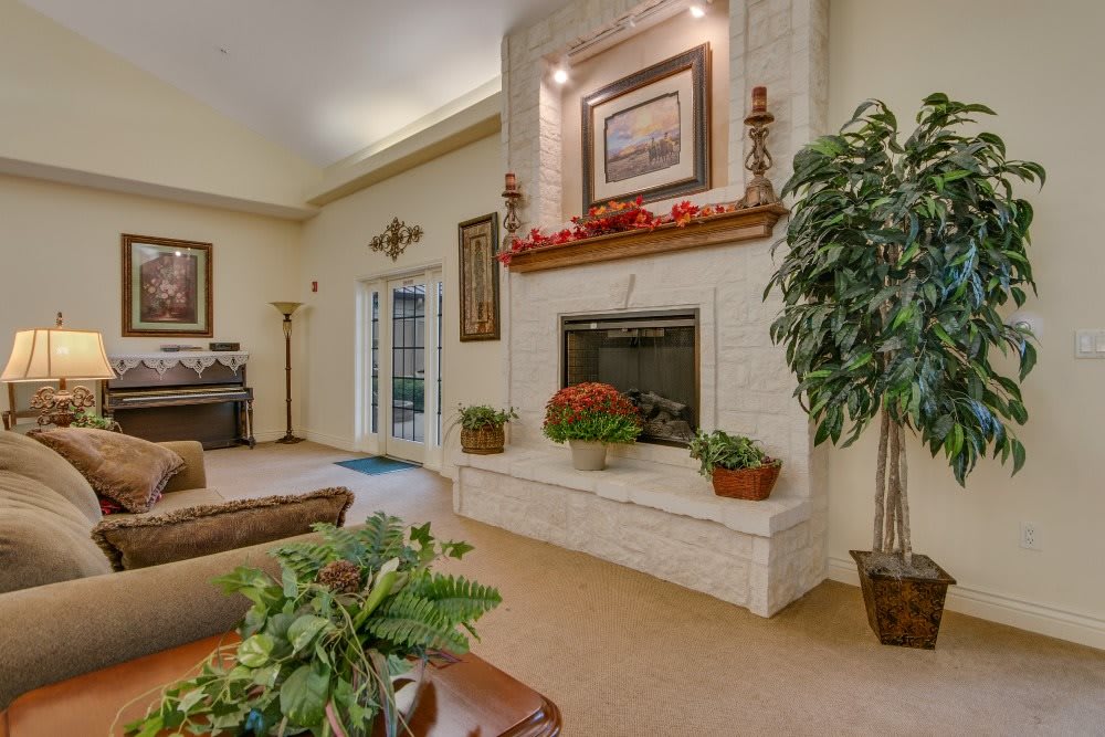 A cozy living room with a fireplace, decorative plants, and elegant furnishings.