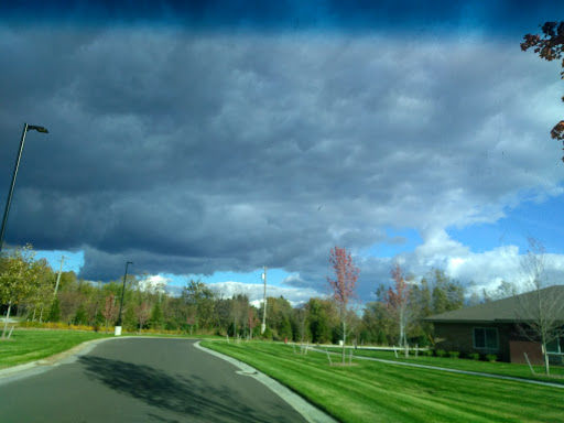 A winding road surrounded by lush greenery under a dramatic sky.