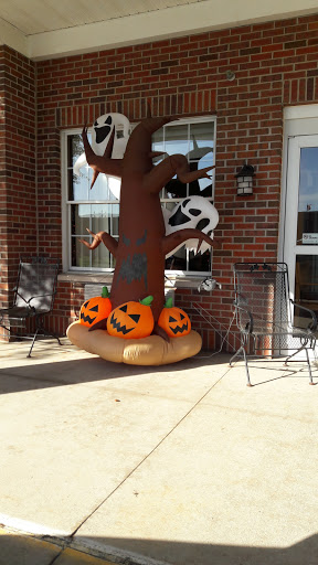A festive Halloween display featuring a spooky tree and vibrant pumpkins.