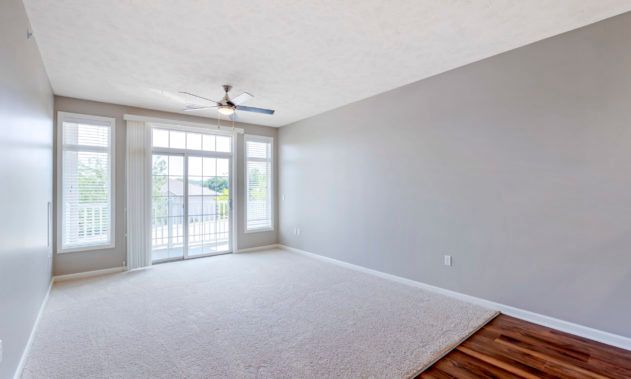 An empty room with gray walls, carpet flooring, a ceiling fan, and large windows allowing natural light to fill the space.