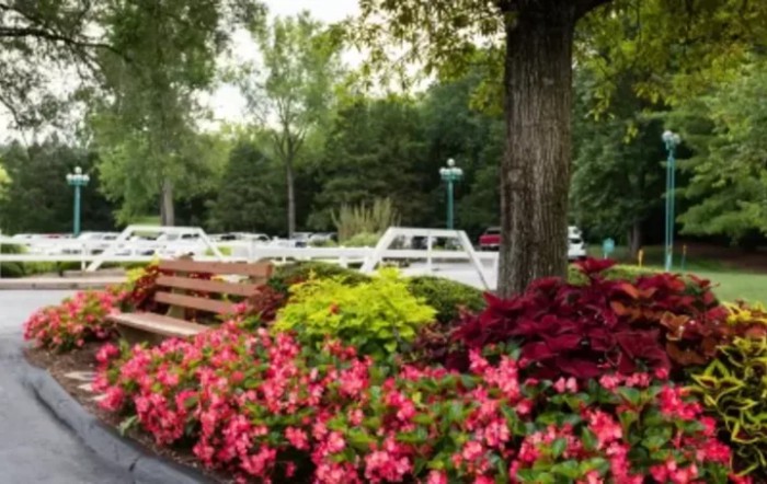 A tranquil park scene with colorful flowers and a wooden bench under the shade of tall trees.