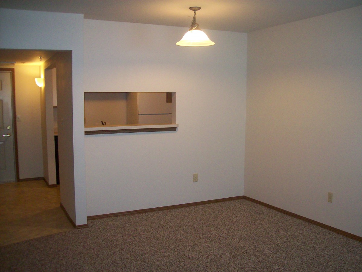 A simple empty room with a carpeted floor and a hanging light fixture, featuring a kitchen pass-through.