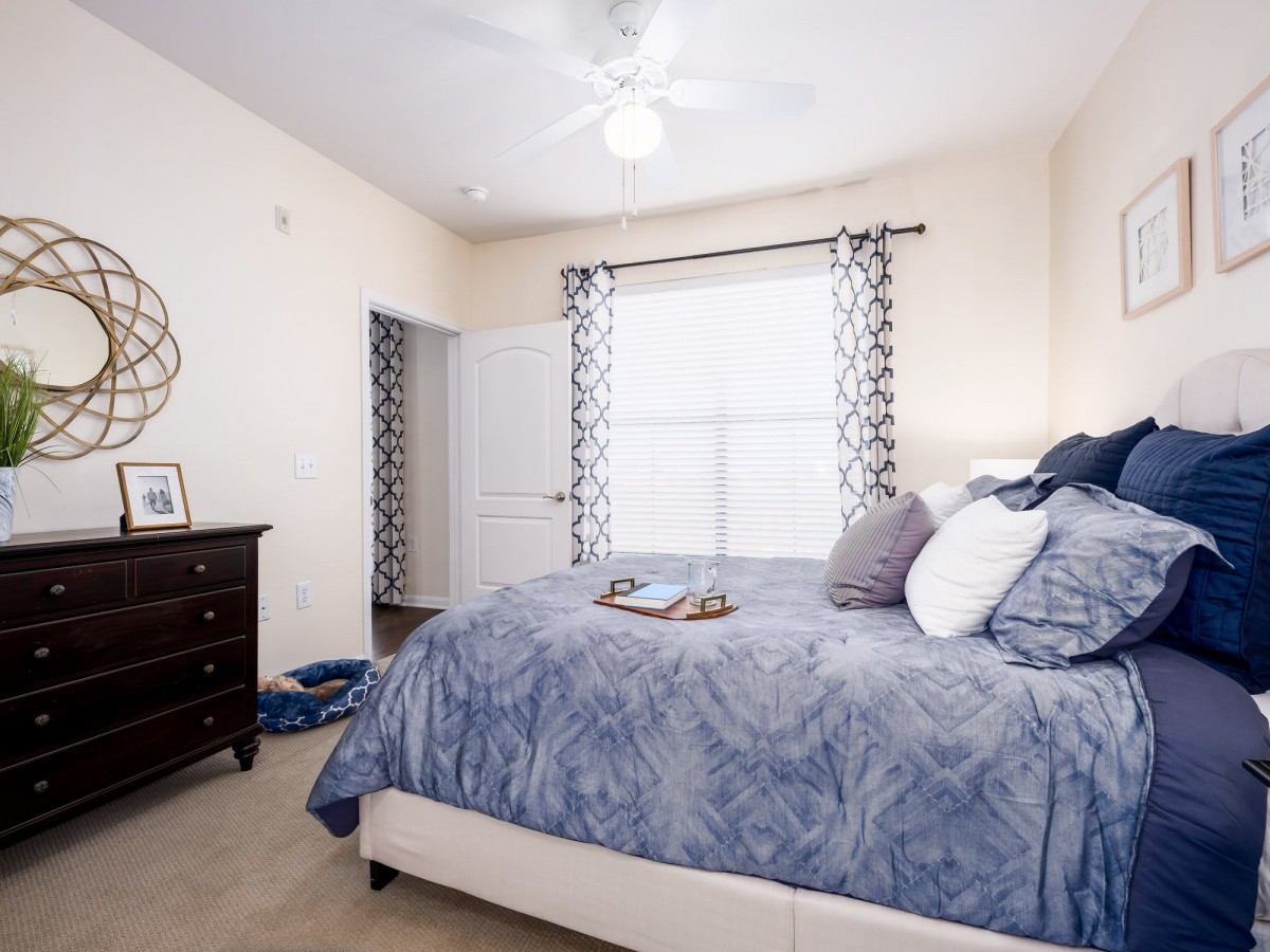 A modern and cozy bedroom with a comfortable bed, stylish decor, and abundant natural light.