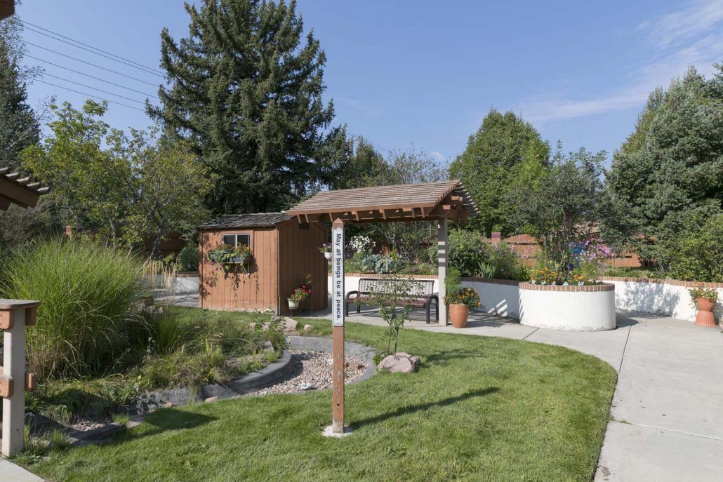 A peaceful garden with a wooden shed and lush greenery under a clear blue sky.