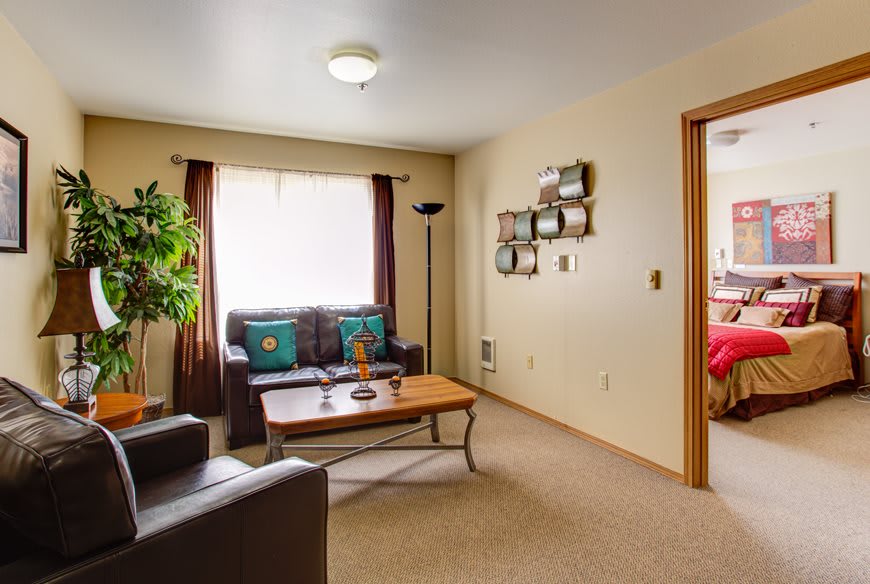 A cozy living room with a sofa, coffee table, and decorative elements.