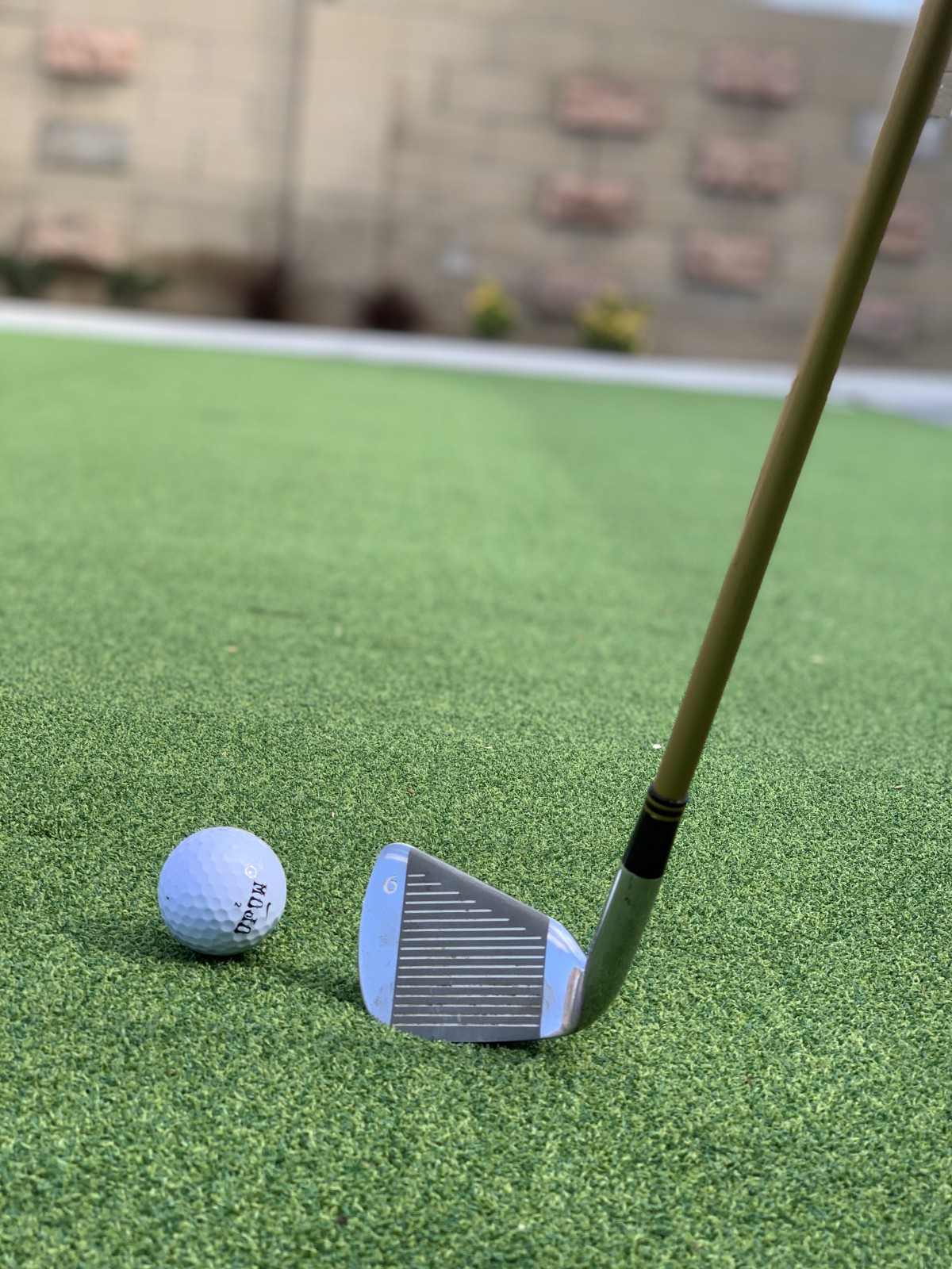 A golf club poised next to a golf ball on a putting green.