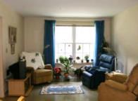 A cozy living room with comfortable chairs and various plants near a large window.