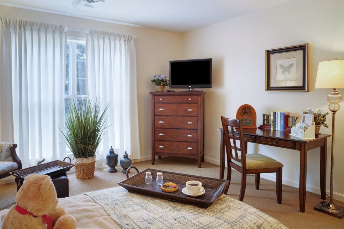 A cozy bedroom with a dresser, desk, and wall-mounted TV, complemented by a potted plant and natural light.