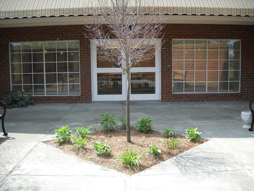 A small landscaped area featuring a tree and surrounding plants in front of a building.