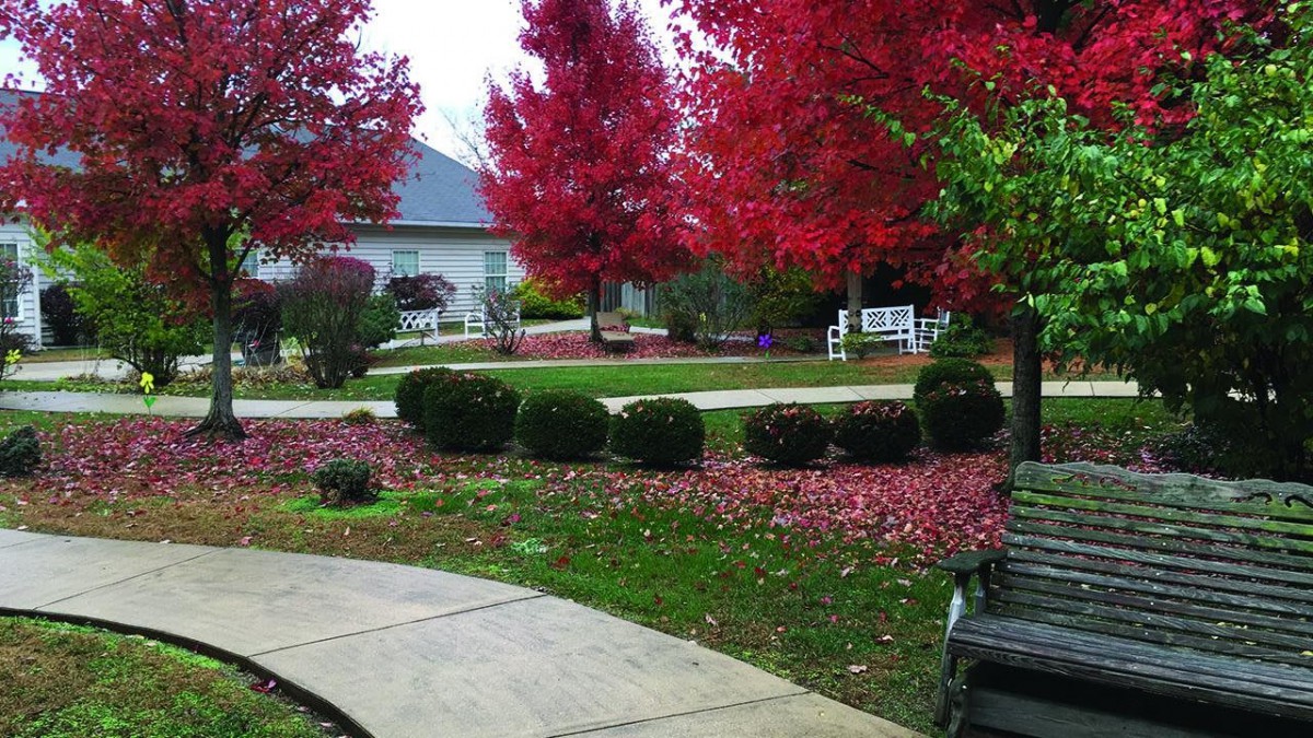 A serene garden landscape with vibrant red autumn trees and a winding pathway.