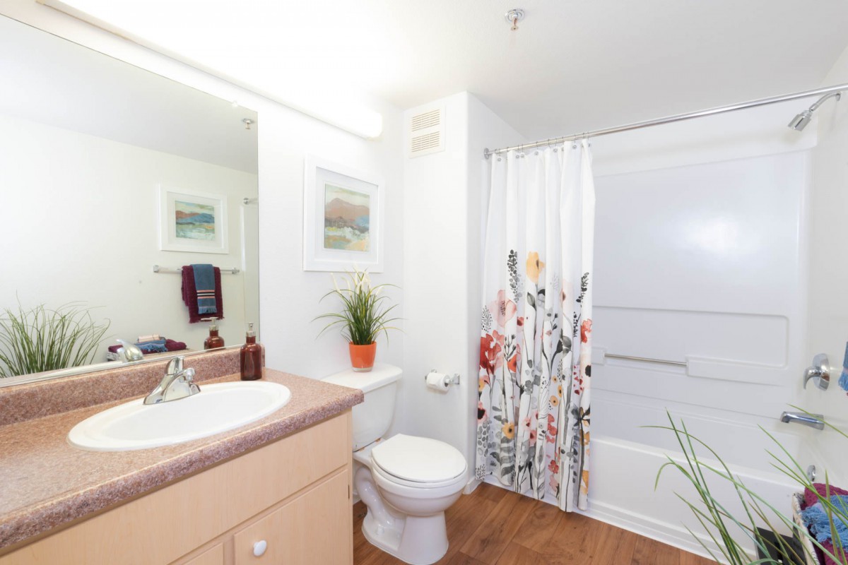 A clean and bright bathroom with a shower, sink, and toilet, complemented by decorative plants and framed wall art.
