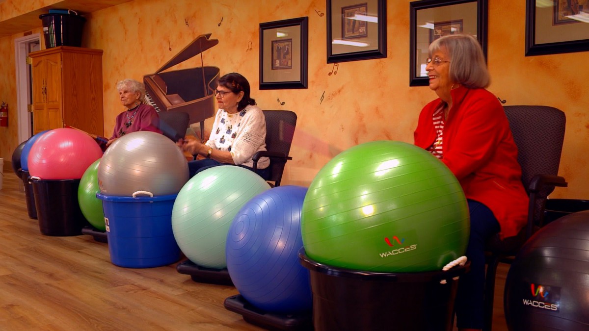 A group of people participating in a seated fitness ball exercise session indoors.