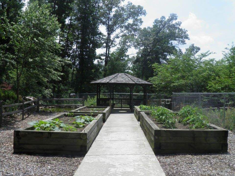 A serene garden with a central pathway leading to a gazebo surrounded by lush vegetation.