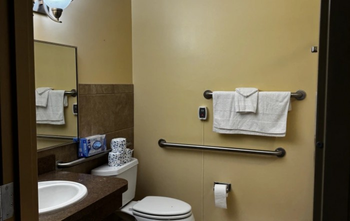 Accessible bathroom with a toilet, sink, handrail, and neatly arranged towels.