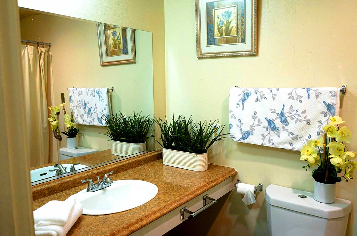 A neatly decorated bathroom with a sink, mirror, and plant decor.