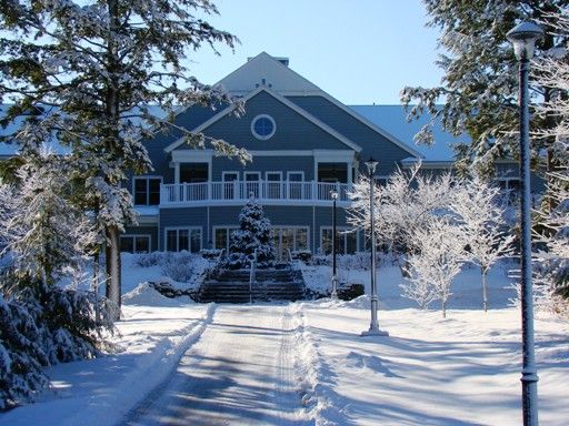 A cozy house surrounded by snow-covered trees on a bright winter day.
