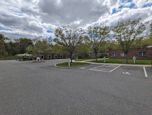 A peaceful parking lot surrounded by trees under a cloudy sky.