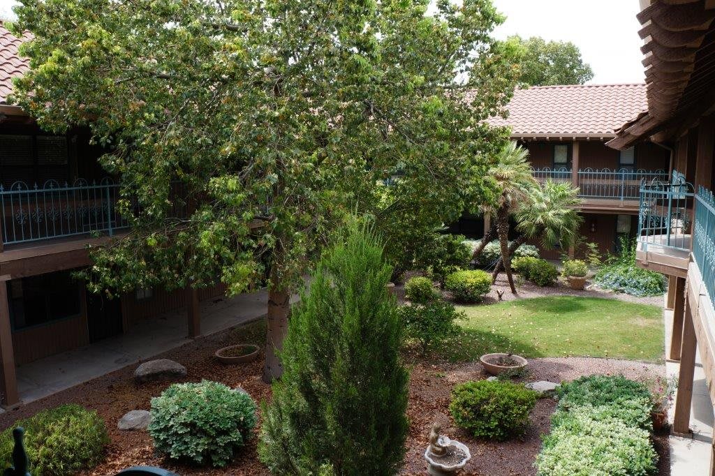 A serene courtyard garden with lush greenery and trees.
