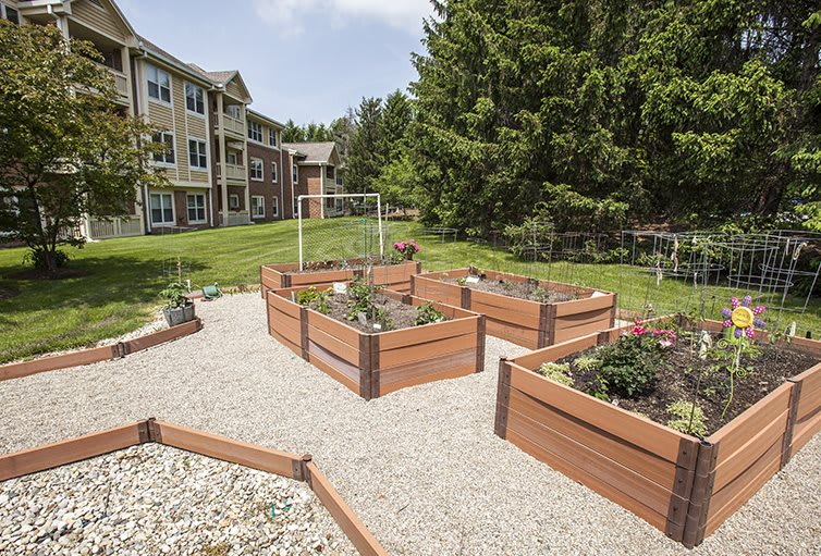 A residential area with neatly arranged raised garden beds, surrounded by a well-maintained lawn and trees.