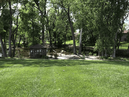 A serene park scene featuring lush greenery and trees.