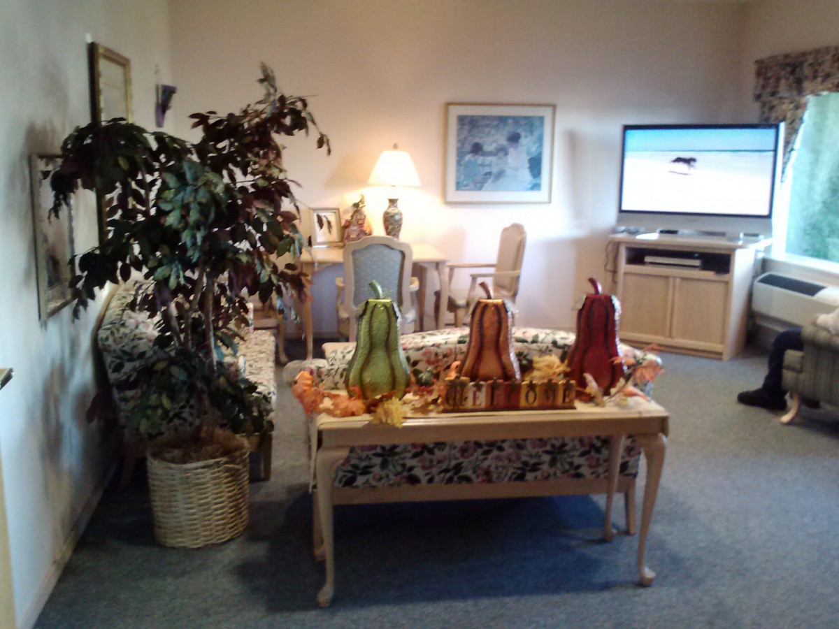 A cozy living room with decorative gourds on the coffee table, a plant in the corner, and a TV on the wall.