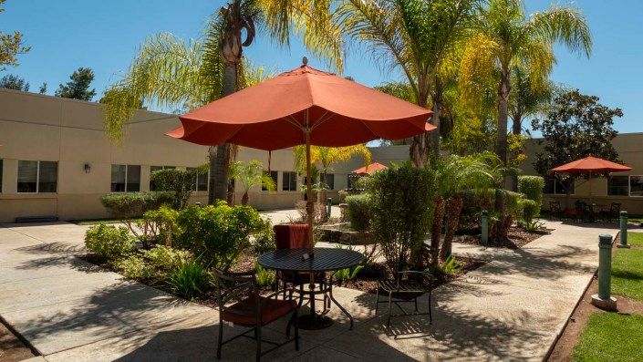 A sunny patio with a table and chairs shaded by an umbrella, surrounded by palm trees.