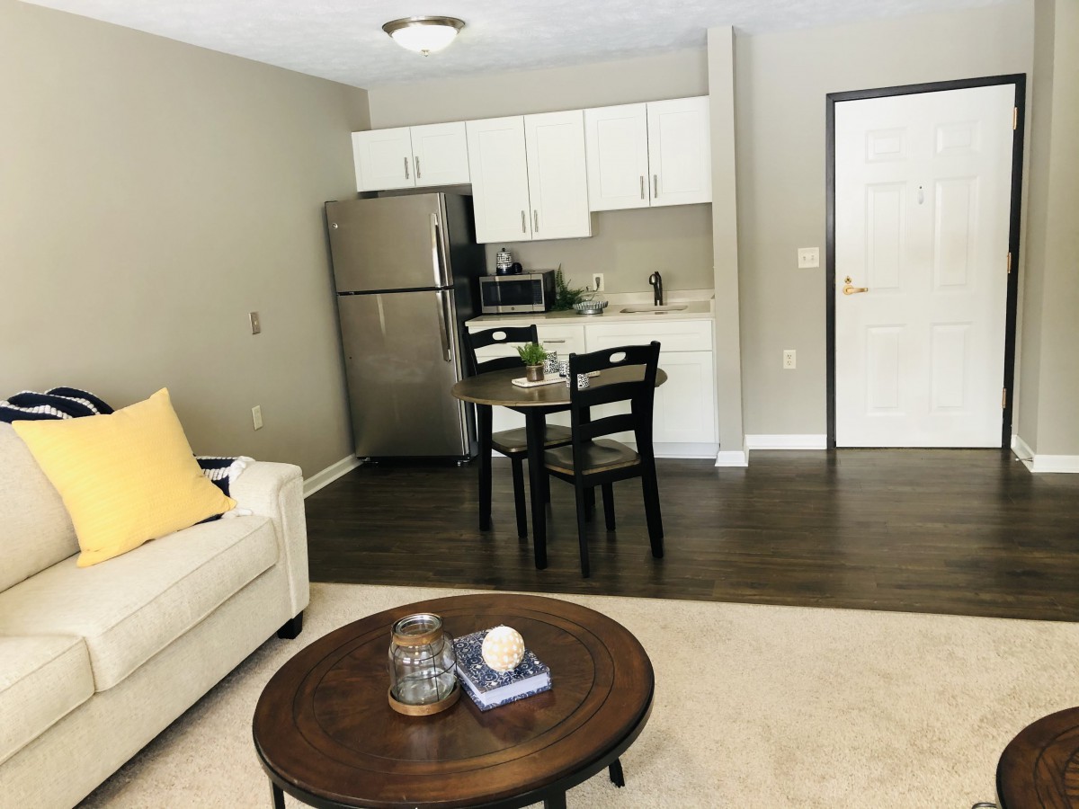 A modern open-plan apartment living room and kitchen area with stylish furnishings.