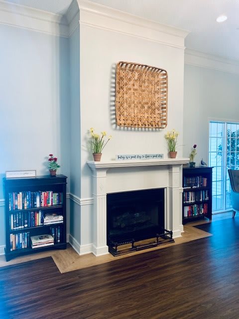 A cozy living room featuring a fireplace flanked by bookshelves and tasteful decorations.