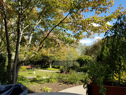 A serene garden scene showcasing vibrant foliage under a clear blue sky.