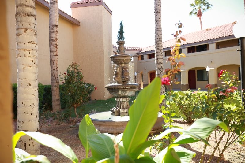 A serene courtyard with a central fountain surrounded by palm trees and lush plants, nestled between Mediterranean-style buildings.