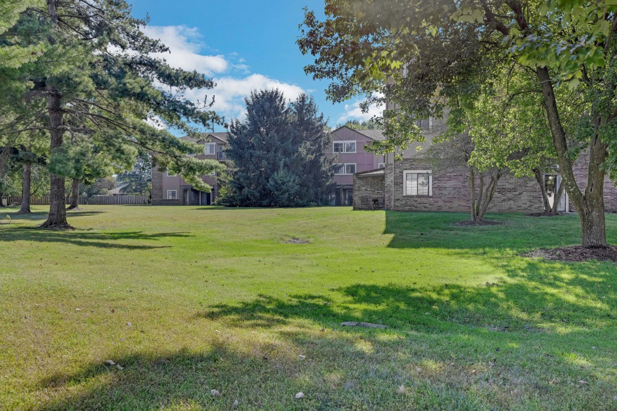 A sunny backyard with a well-maintained lawn and surrounding trees.