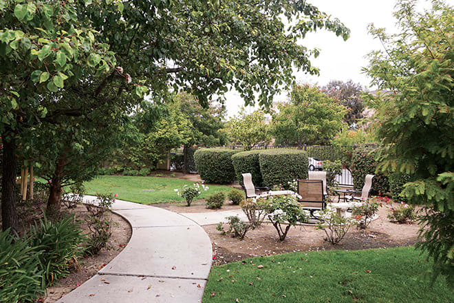 A serene garden with a winding pathway and seating area surrounded by lush greenery.