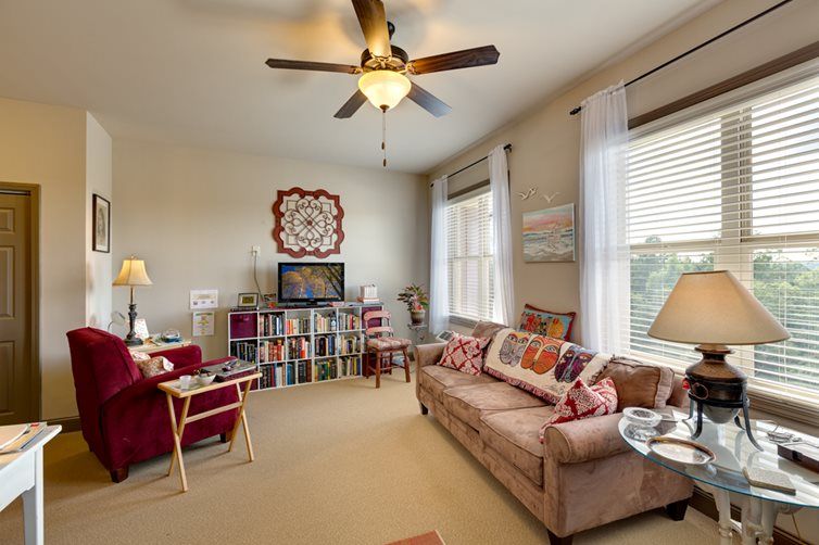 A cozy living room with a comfortable sofa, bookshelf, and natural lighting.