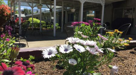 A beautiful garden with blooming flowers near a patio area.