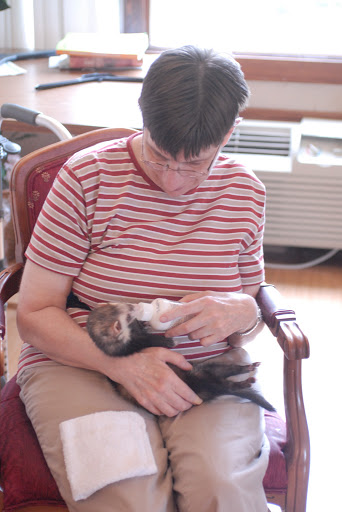 A person enjoying quality time while playing with a cat.