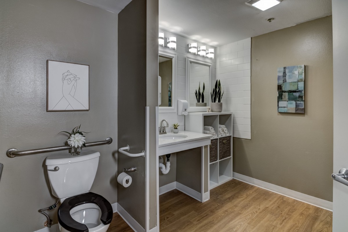 A modern bathroom features a toilet, sink with mirror, and elegant decor.