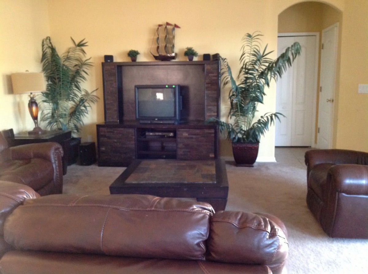 A cozy living room with a television, leather sofas, and decorative plants.