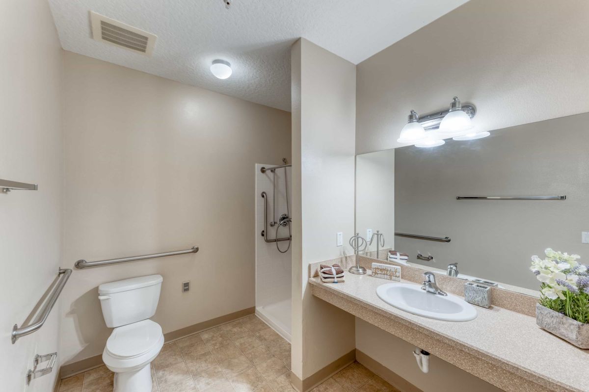 An accessible bathroom with a toilet, sink, mirror, and walk-in shower featuring handrails.