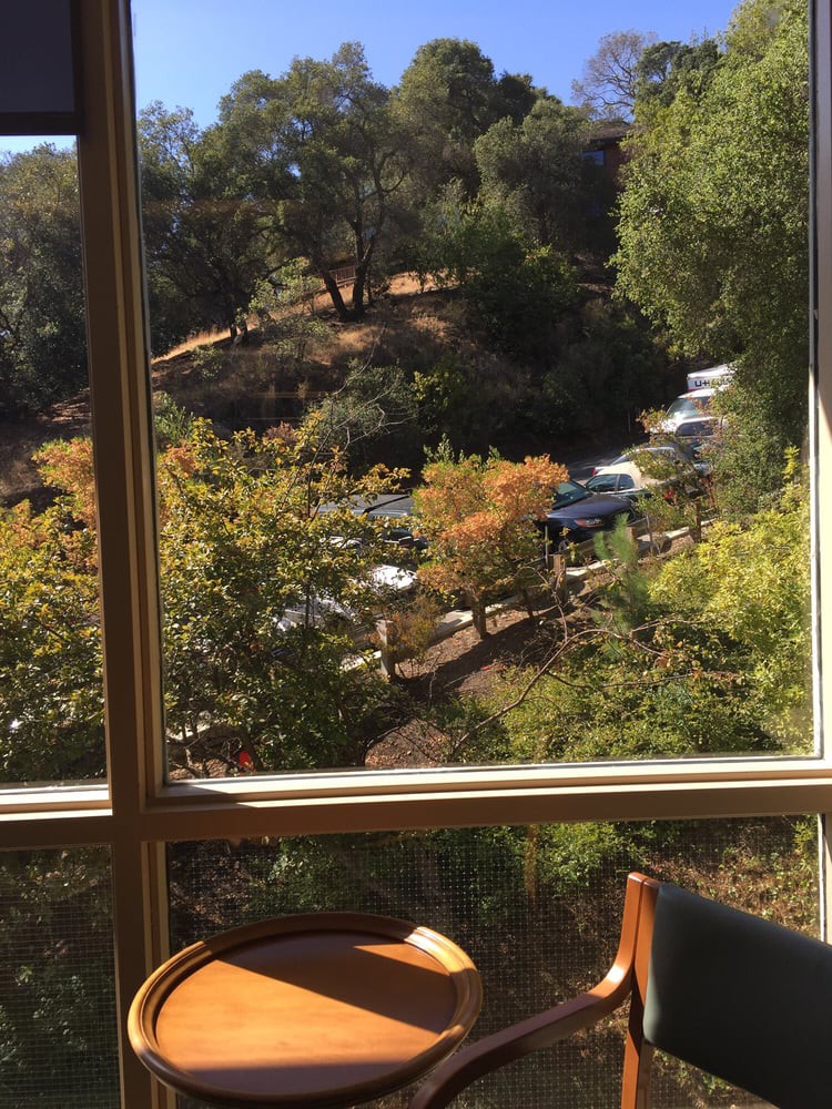 Los Gatos Meadows