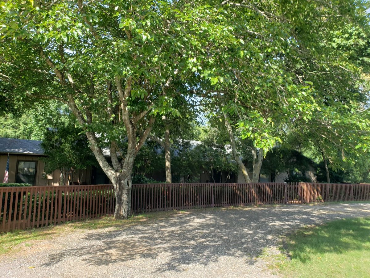 A serene gravel path shaded by lush green trees and bordered by a wooden fence.