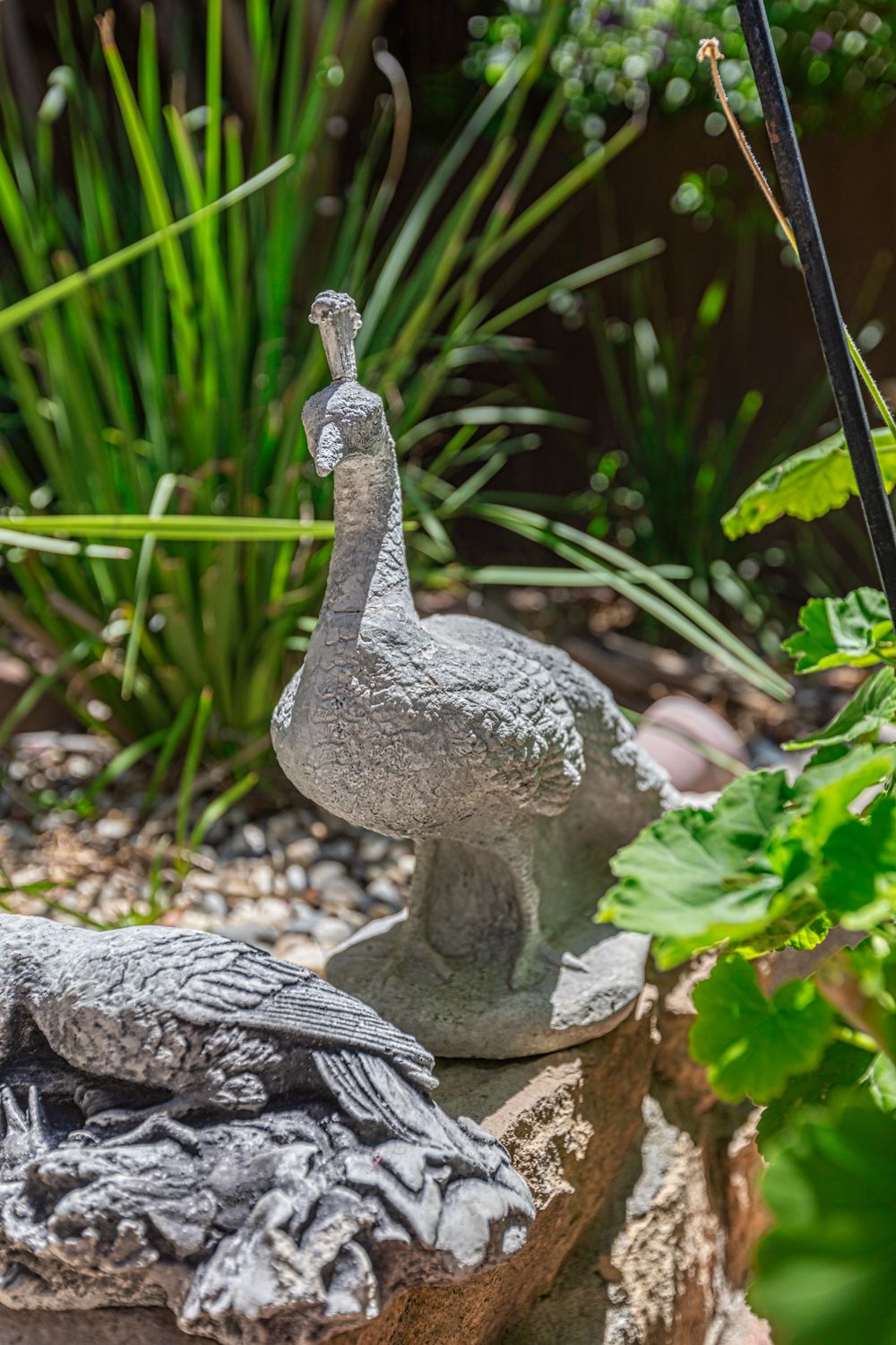 A stone peacock statue in a garden setting surrounded by plants.