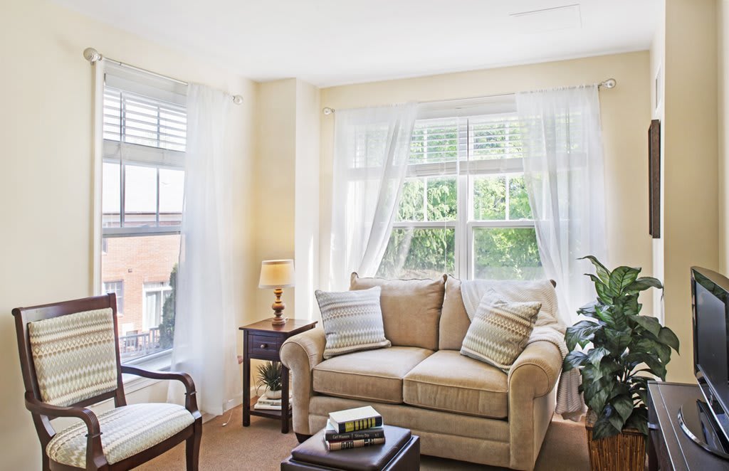 A cozy and bright living room featuring a comfortable sofa, large windows with sheer curtains, and decorative elements including indoor plants.