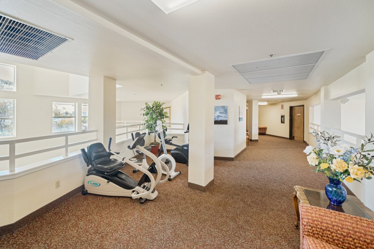 A bright and spacious indoor fitness area featuring recumbent bikes on a carpeted floor, surrounded by modern dcor.