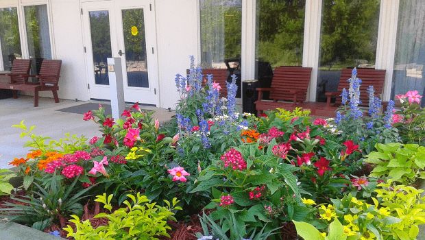 A vibrant garden in front of a building entrance, featuring colorful flowers and outdoor seating.
