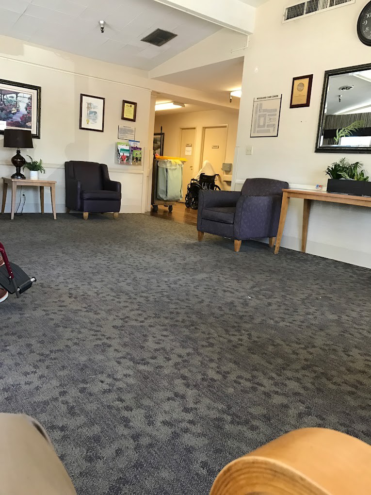 A quiet waiting room with chairs, a carpeted floor, and decorative plants.