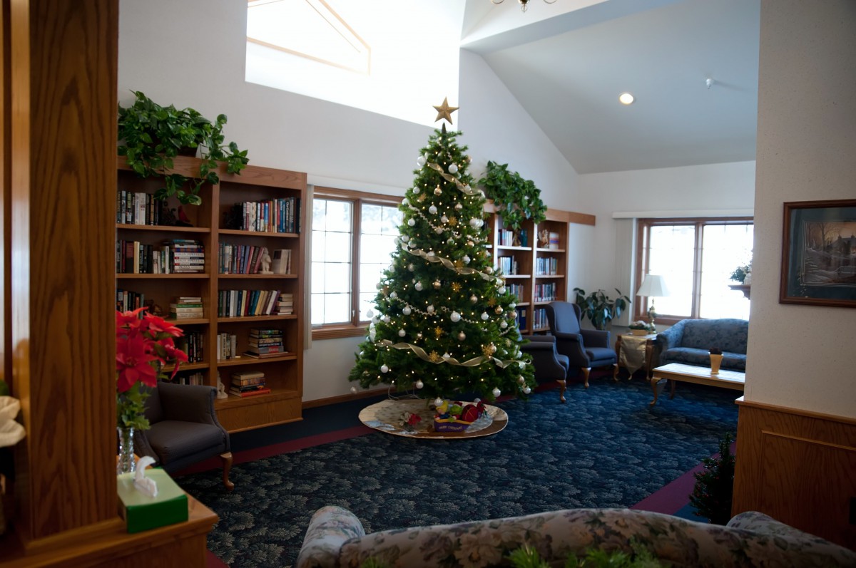 A cozy library room decorated with a Christmas tree and bookshelves.